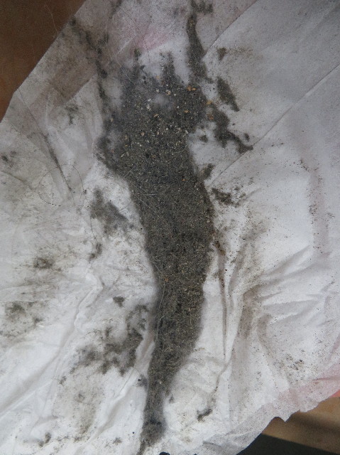 ファイル 6115-5.jpg