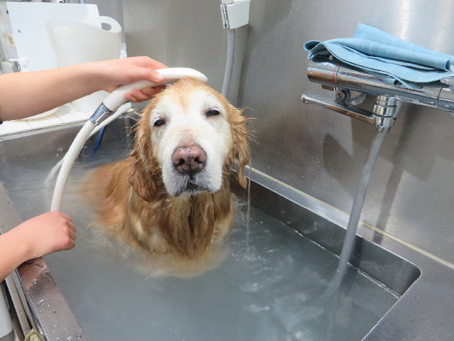 ファイル 6116-5.jpg