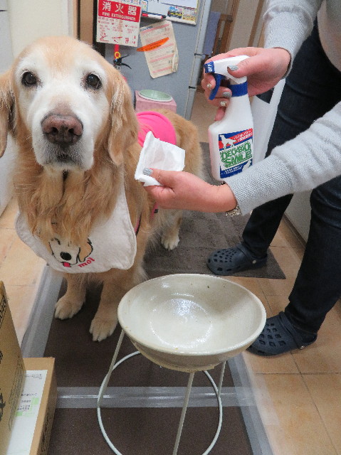 ファイル 6118-3.jpg