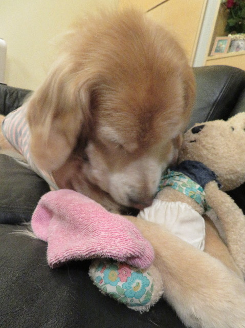 ファイル 6119-1.jpg