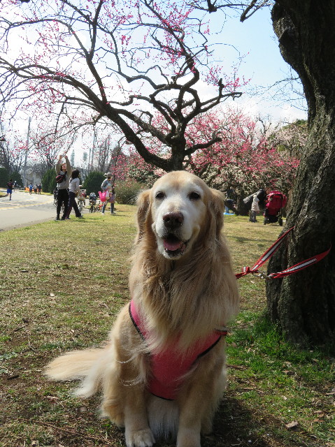 ファイル 6122-4.jpg