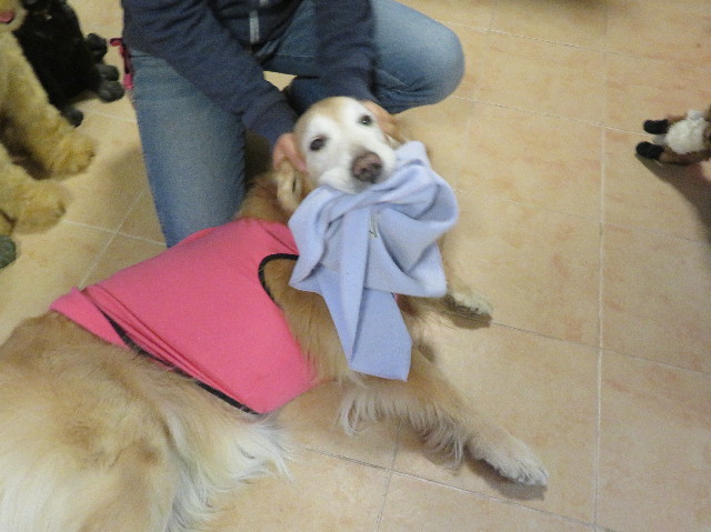 ファイル 6123-1.jpg