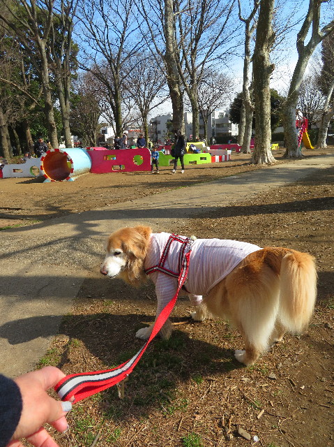 ファイル 6123-3.jpg