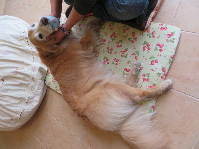 ファイル 6123-5.jpg