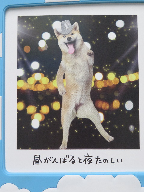 ファイル 6124-1.jpg