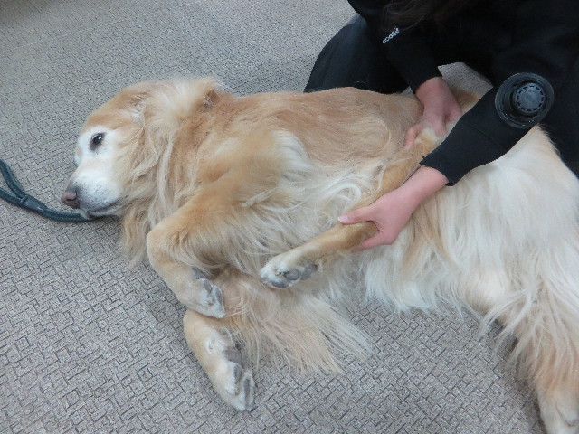 ファイル 6124-3.jpg