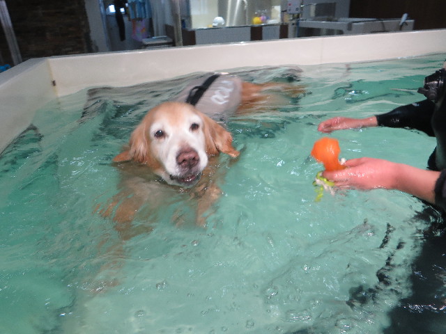 ファイル 6124-4.jpg