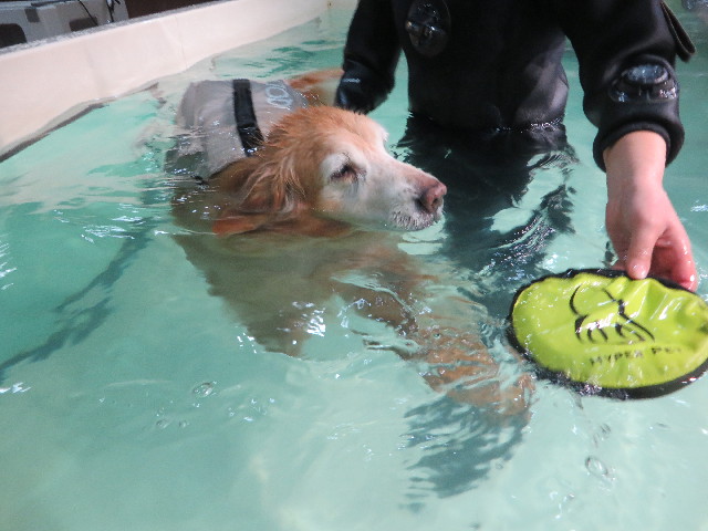 ファイル 6124-5.jpg