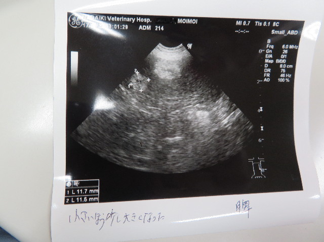 ファイル 6125-2.jpg