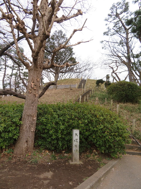 ファイル 6127-1.jpg