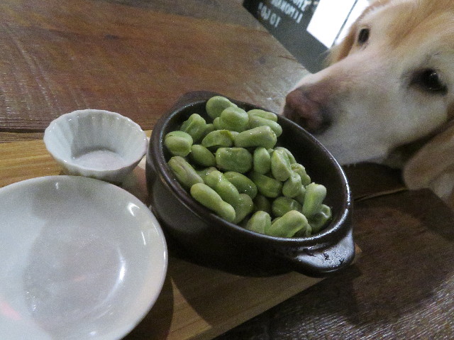 ファイル 6128-4.jpg