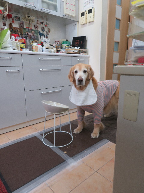 ファイル 6130-2.jpg