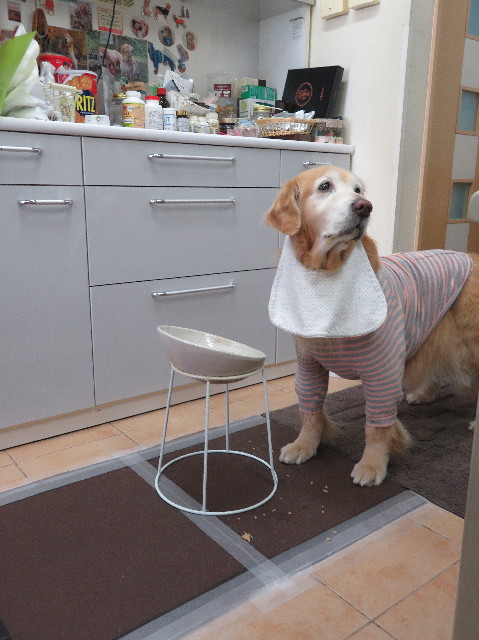 ファイル 6130-3.jpg