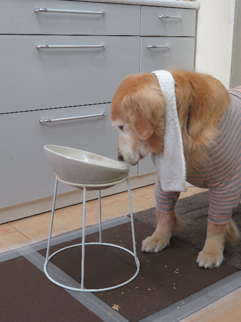 ファイル 6130-4.jpg