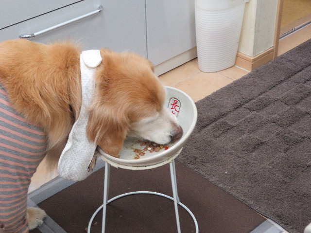 ファイル 6132-3.jpg