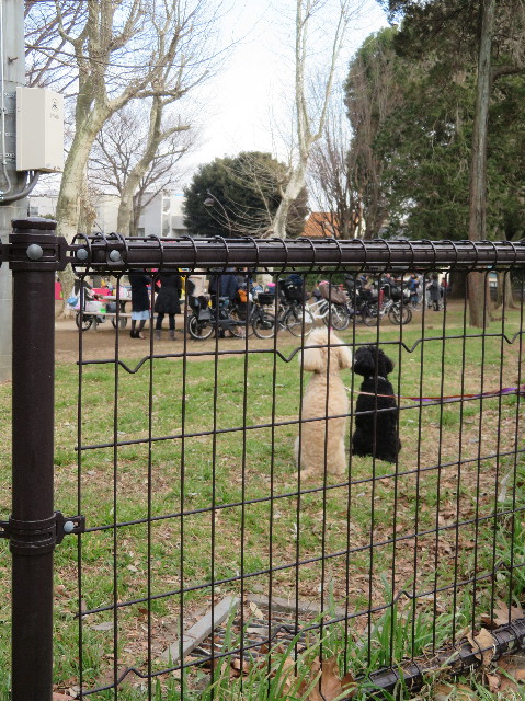 ファイル 6132-5.jpg