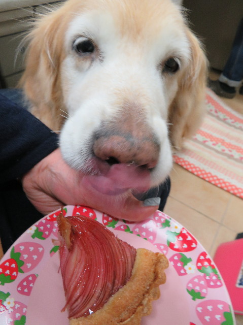 ファイル 6134-2.jpg