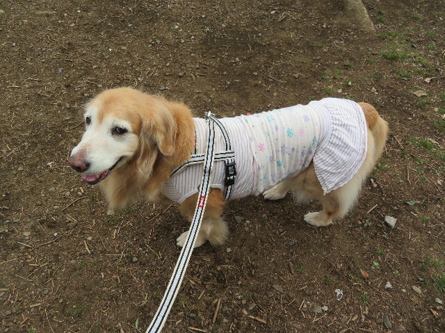 ファイル 6136-2.jpg