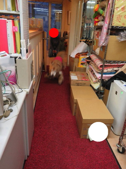 ファイル 6139-2.jpg