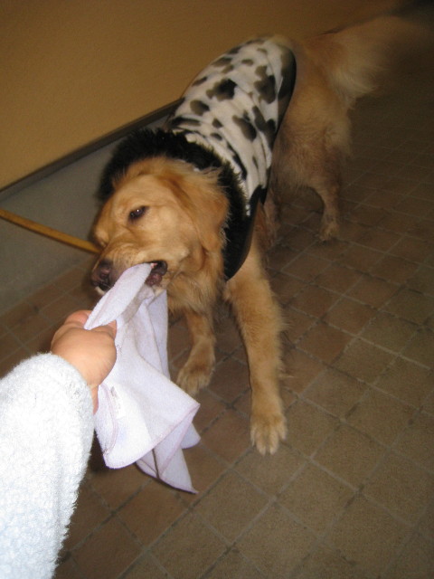 ファイル 614-4.jpg