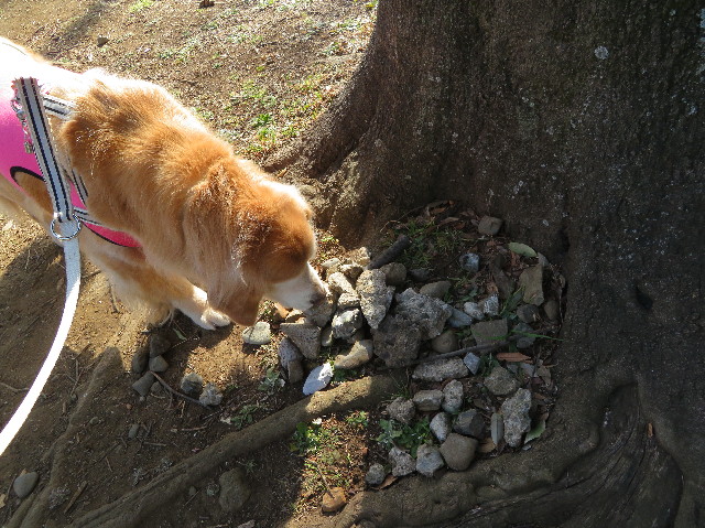 ファイル 6140-4.jpg