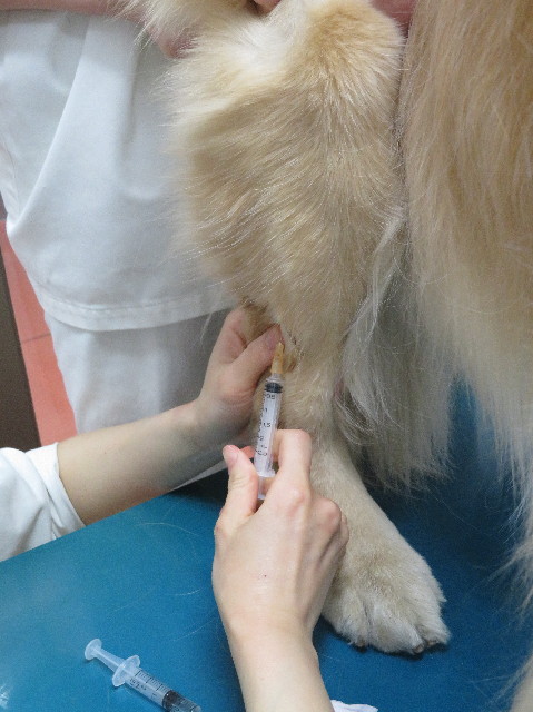 ファイル 6141-2.jpg