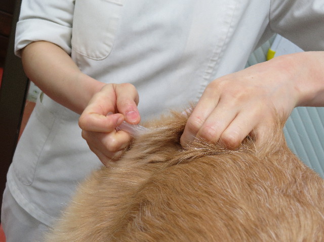 ファイル 6141-3.jpg