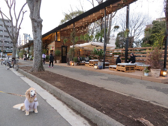 ファイル 6144-3.jpg