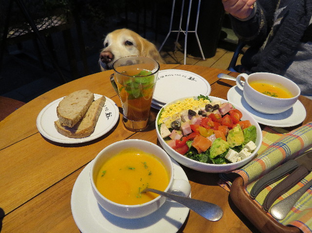 ファイル 6144-5.jpg