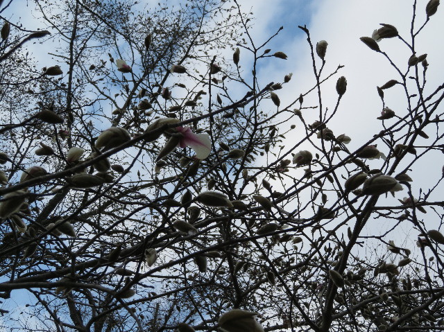 ファイル 6145-3.jpg