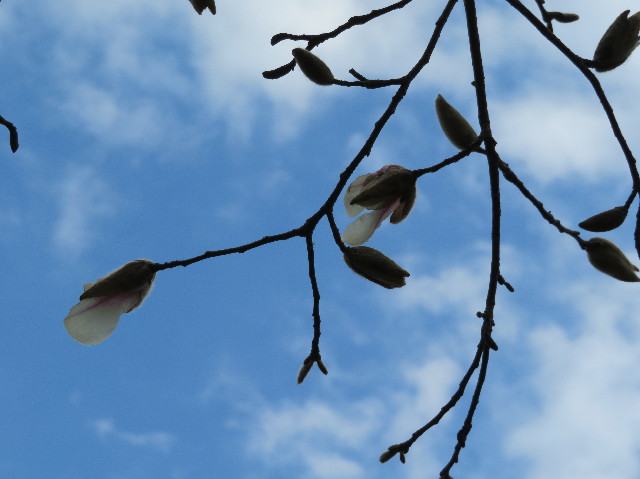 ファイル 6147-5.jpg