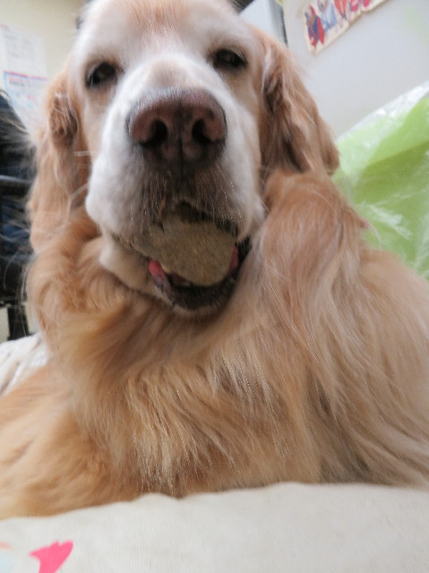 ファイル 6149-3.jpg