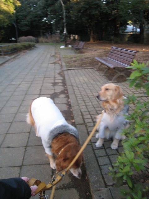 ファイル 615-2.jpg