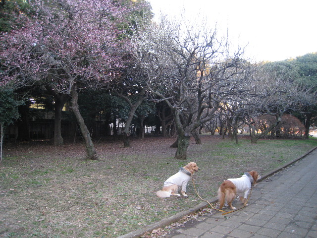 ファイル 615-3.jpg