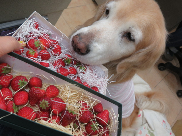 ファイル 6150-4.jpg