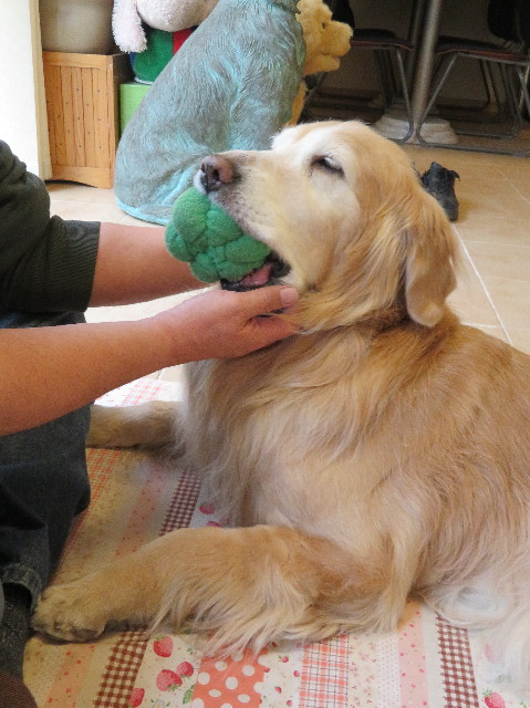 ファイル 6150-5.jpg