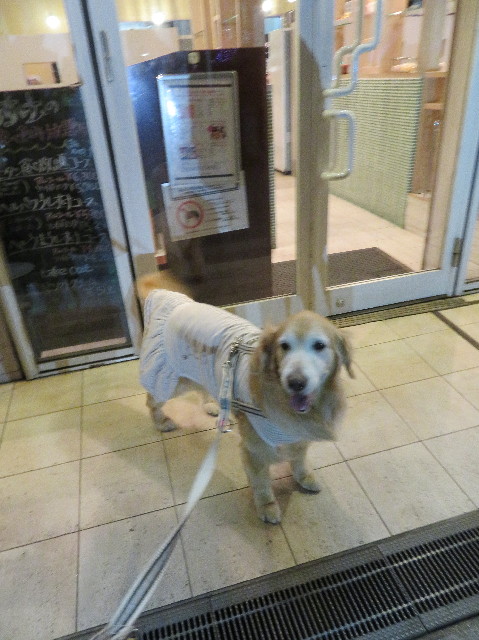 ファイル 6157-2.jpg