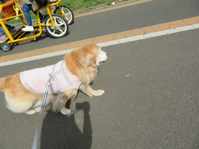 ファイル 6158-2.jpg