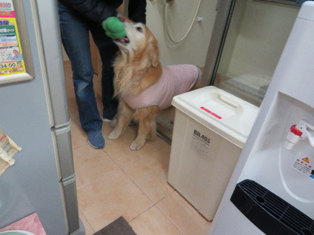 ファイル 6158-4.jpg