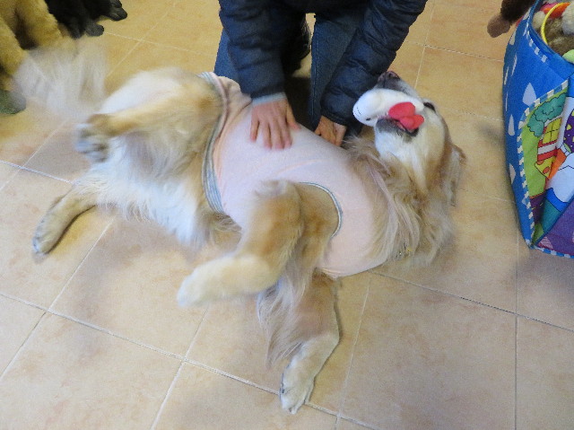 ファイル 6158-5.jpg