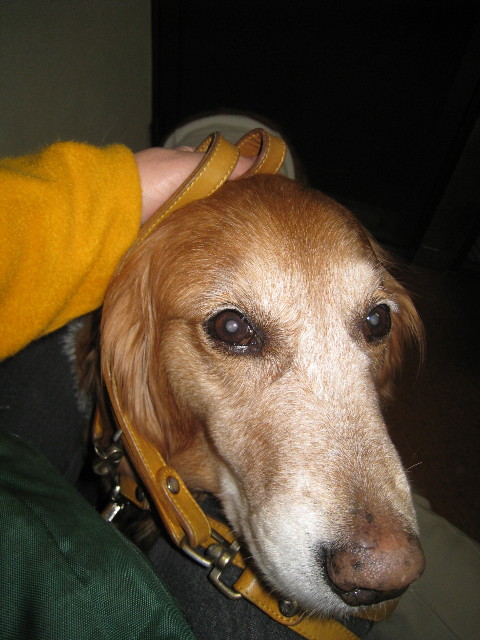 ファイル 616-3.jpg