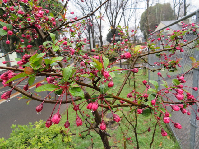 ファイル 6160-3.jpg