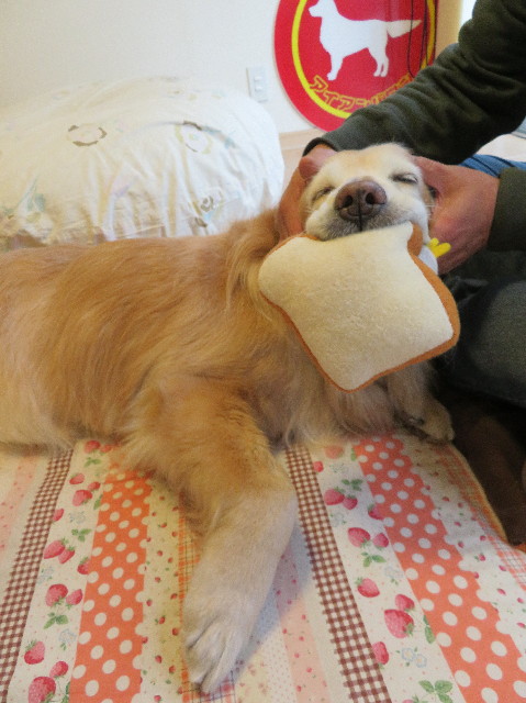 ファイル 6160-5.jpg