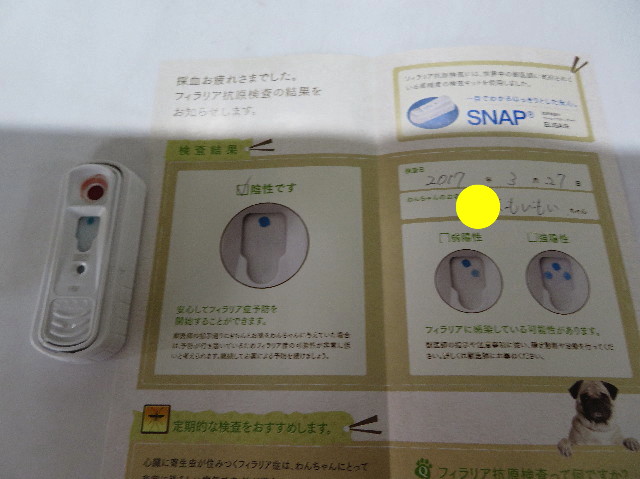 ファイル 6161-1.jpg