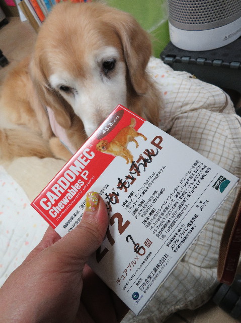 ファイル 6161-2.jpg