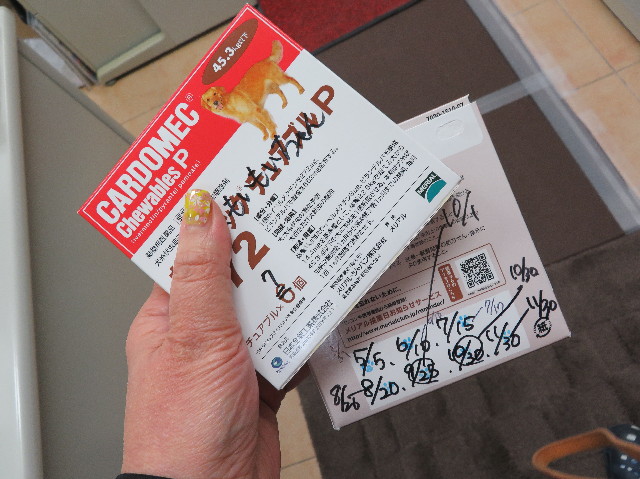 ファイル 6161-3.jpg