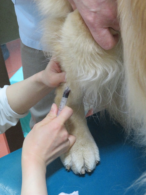 ファイル 6161-4.jpg