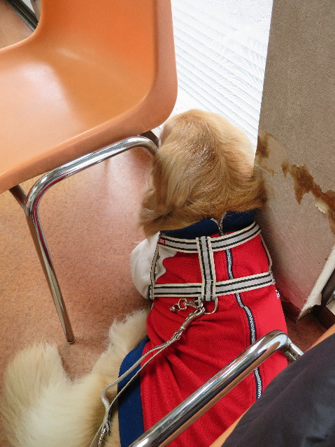 ファイル 6161-5.jpg