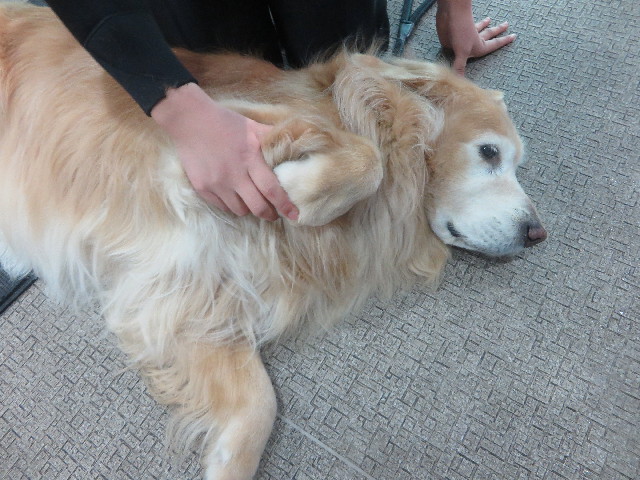 ファイル 6162-2.jpg