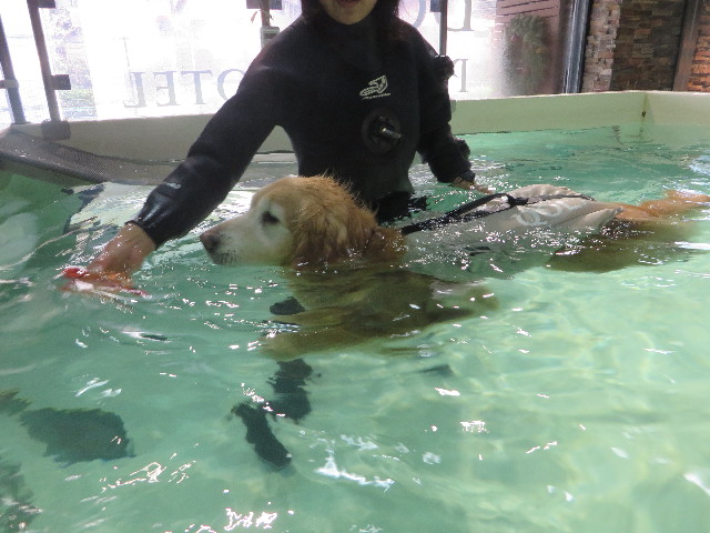 ファイル 6162-3.jpg